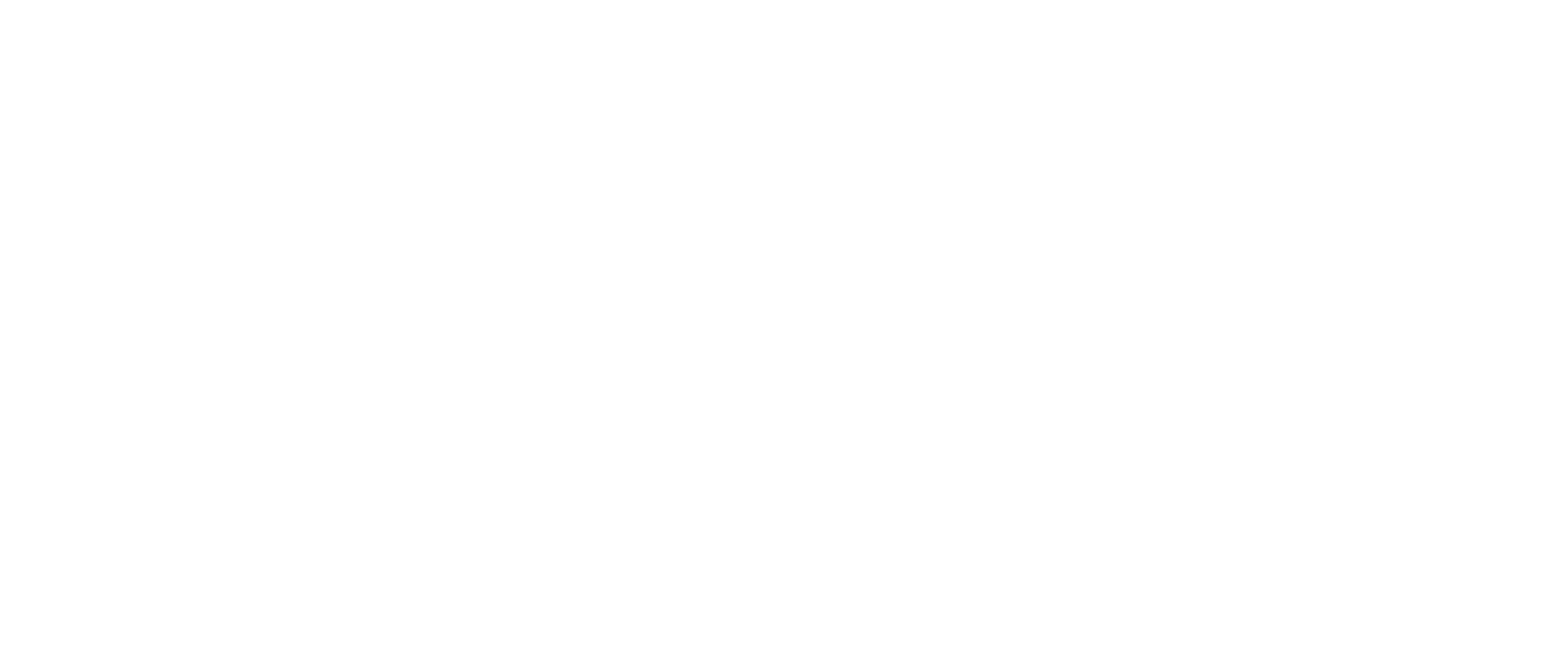 LOGODIX0